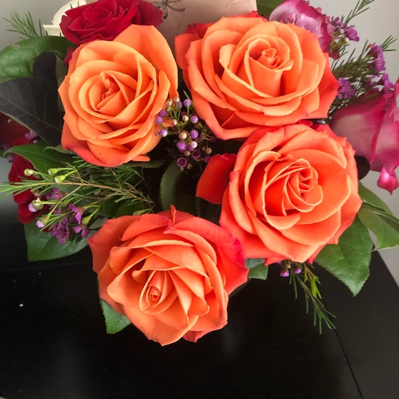 Meet your Posher, Liz - Picture 1 of 1